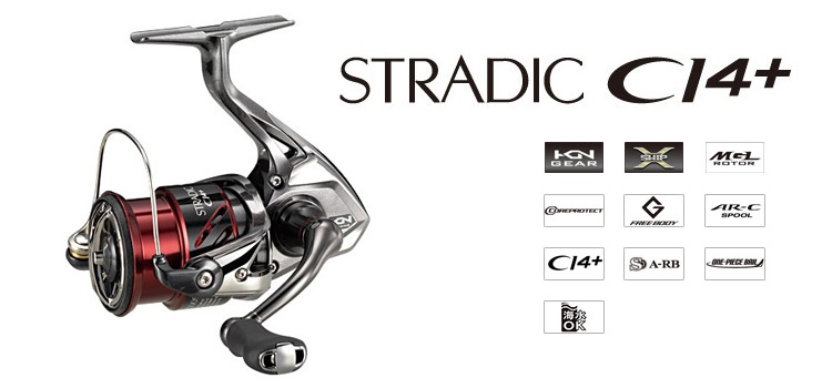 New Stradic CI4+ '16