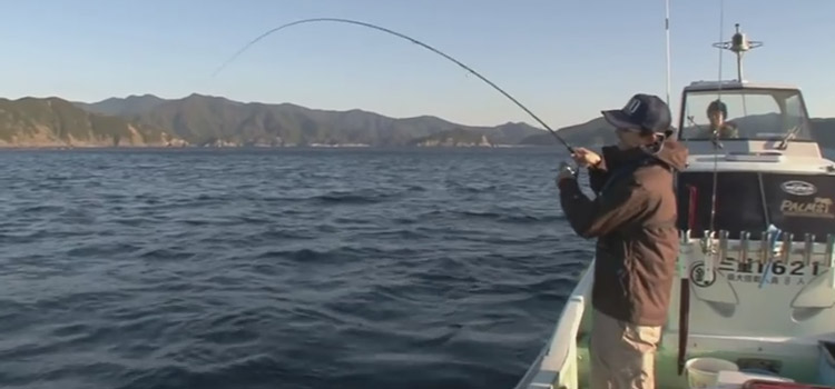 Fishing Method: Tip Run Eging - Easy Way to Catch Squids - Japan Fishing  and Tackle News