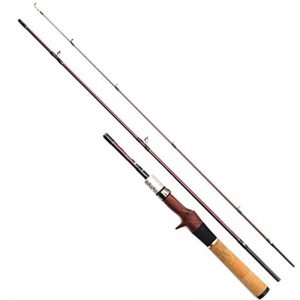 Fishing Rods Archives - Japan Fishing and Tackle News