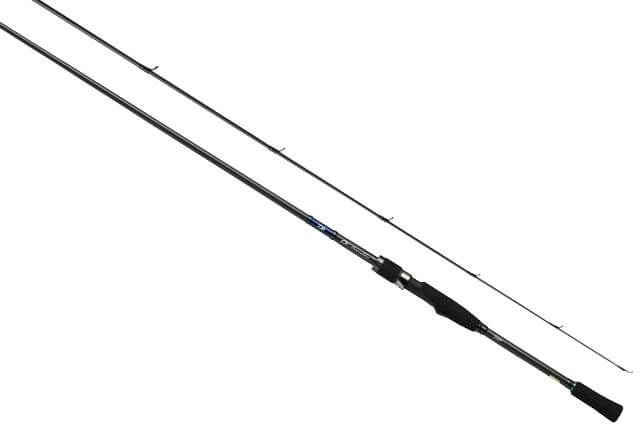 Which is more Versatile Rods? Seabass Rods VS Eging Rods - Eging Rods and  Recommended - Japan Fishing and Tackle News