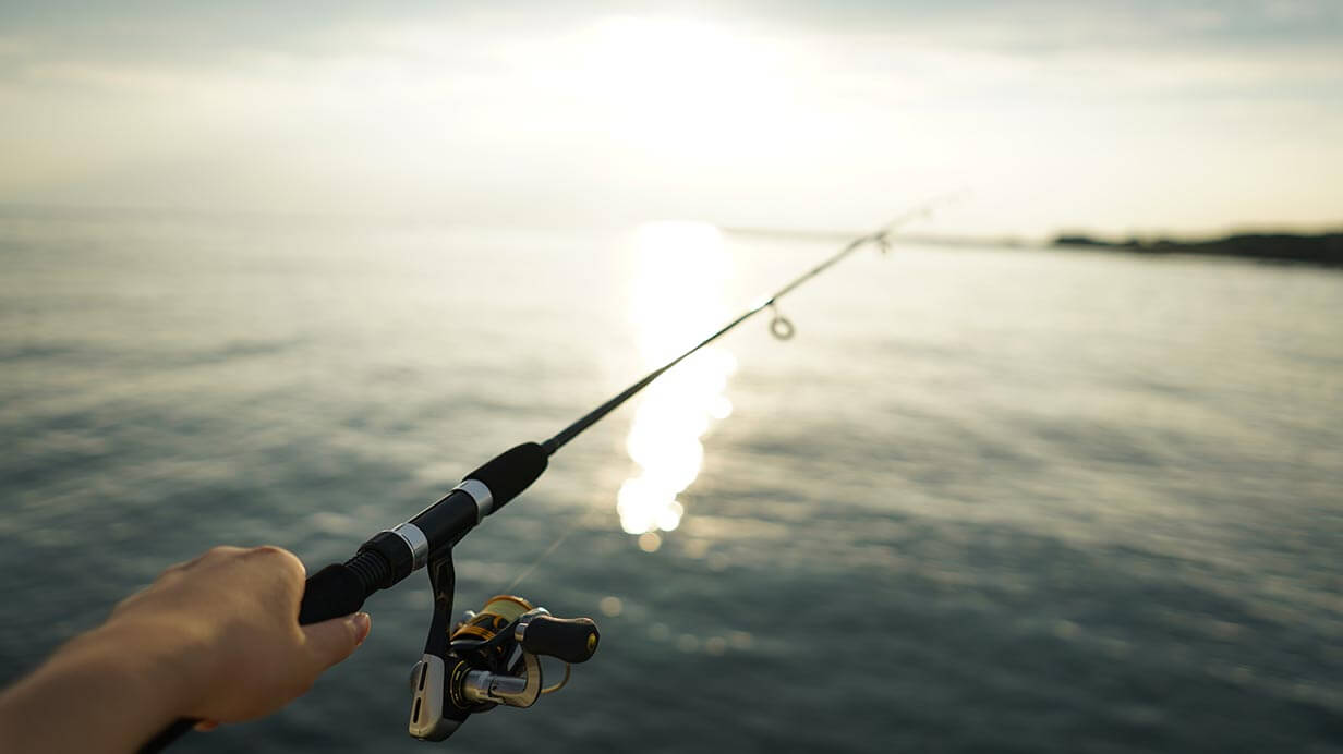 Which is more Versatile Rods? Seabass Rods VS Eging Rods