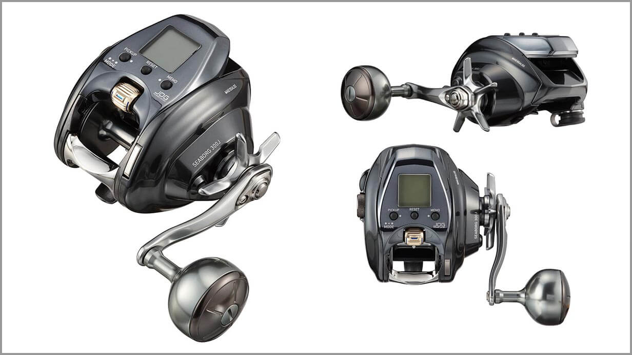 Daiwa 23 Leobritz 300J (Right Handle)