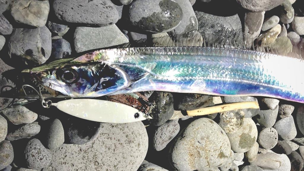 Popular Lure Brand Zeake's Shore Slow Jig - Z-Bit - Japan Fishing