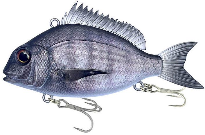 Little Jack Charikom 03 Black Sea Bream / Black Bream