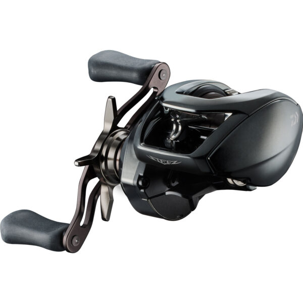 DAIWA 24 STEEZ SV TW 100
