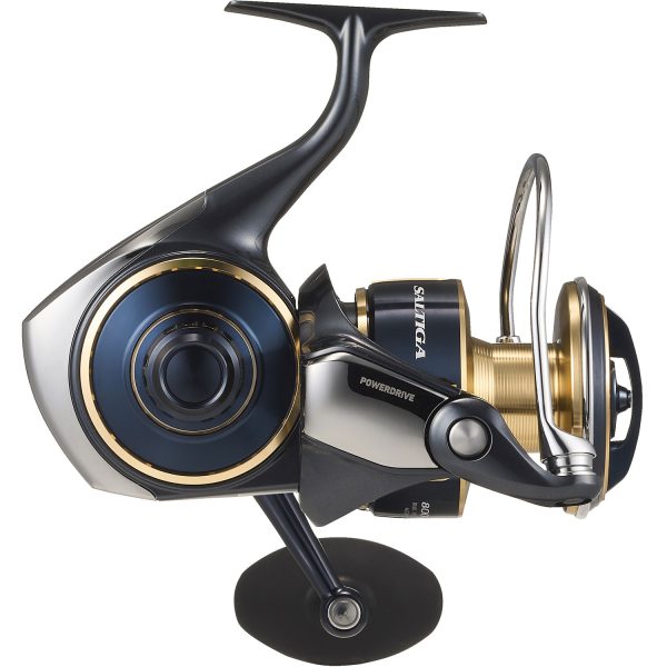 DAIWA 25 Saltiga - Image 5